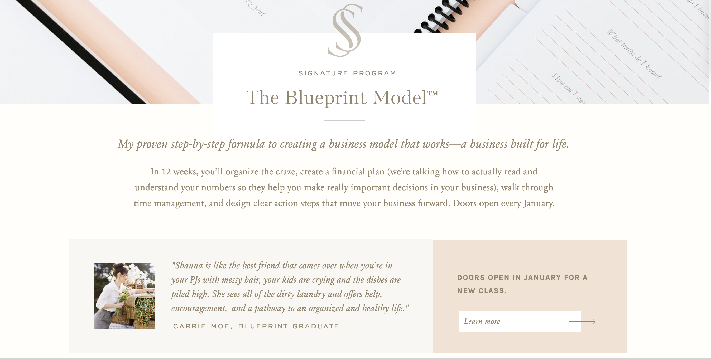 The Blueprint Model Website Gif