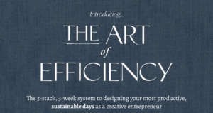 Introducing the Art of Efficiency